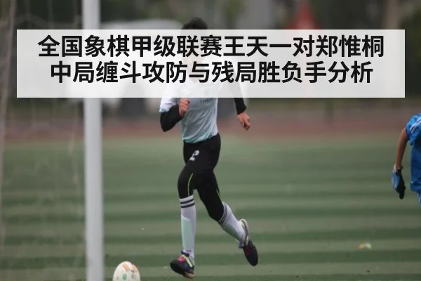 全国象棋甲级联赛王天一对郑惟桐中局缠斗攻防与残局胜负手分析 - kaiyun